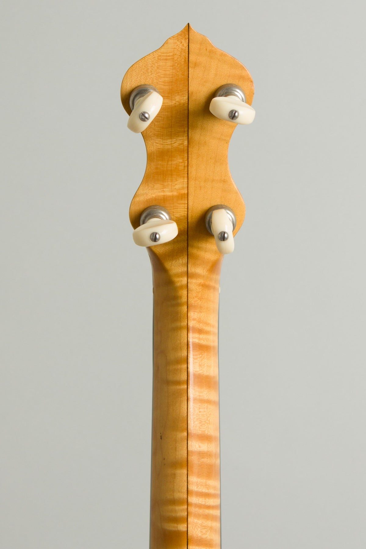 Mike Ramsey 5 String Fretless Banjo (2000)