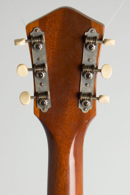 Harmony Patrician Arch Top Acoustic Guitar (1961)
