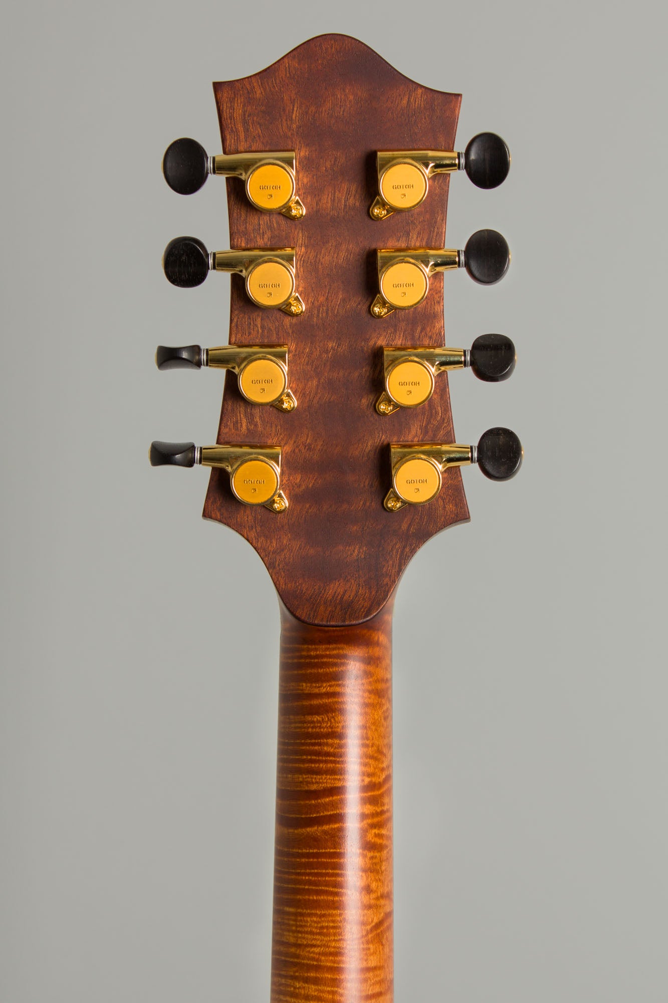 Bayard Blaine-Bayard Guitars L-5 Multi-Scale Carved Top Mandocello (2025)