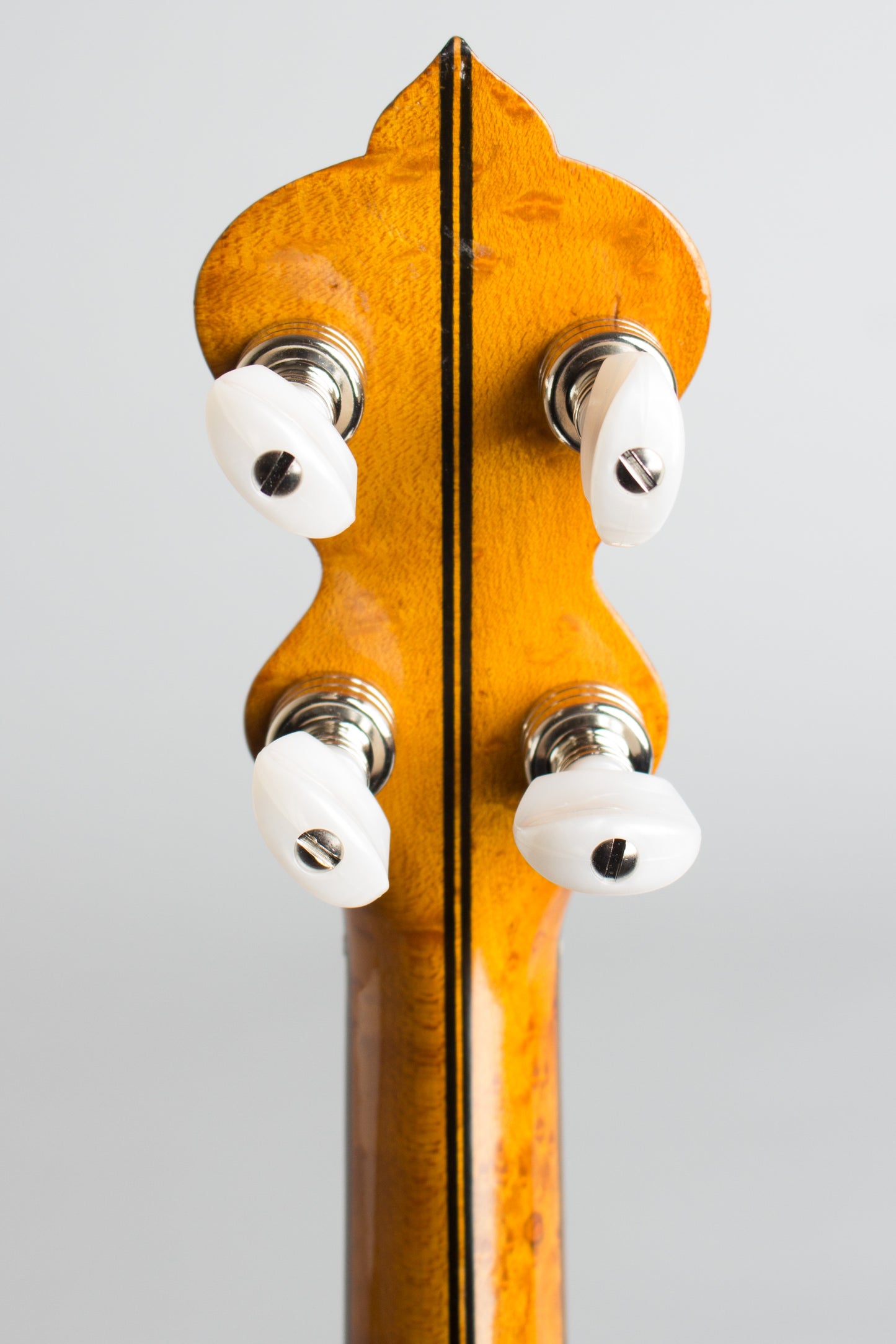 unlabelled Composite 5 String Banjo (1910)