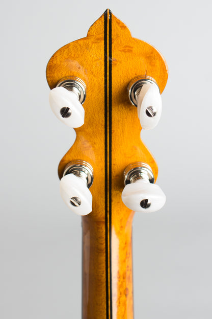 unlabelled Composite 5 String Banjo (1910)