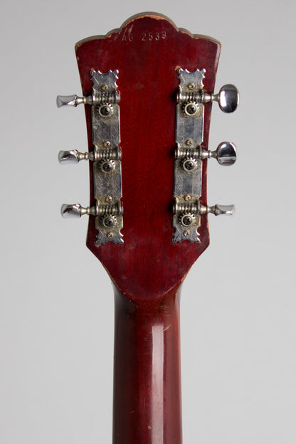 Guild F-20NT Flat Top Acoustic Guitar (1968)