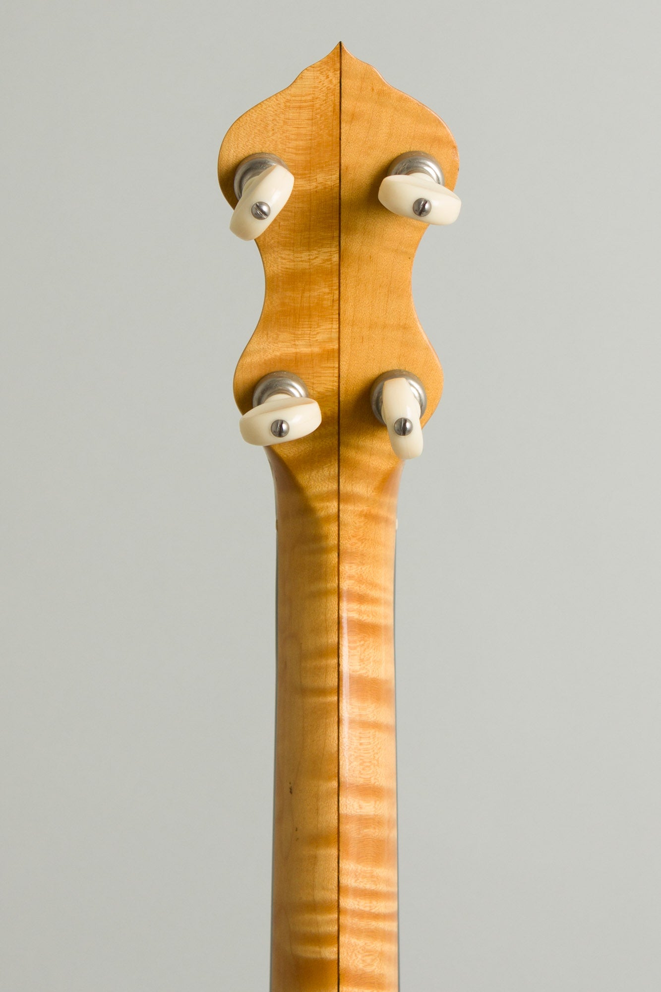 Mike Ramsey 5 String Fretless Banjo (2000)
