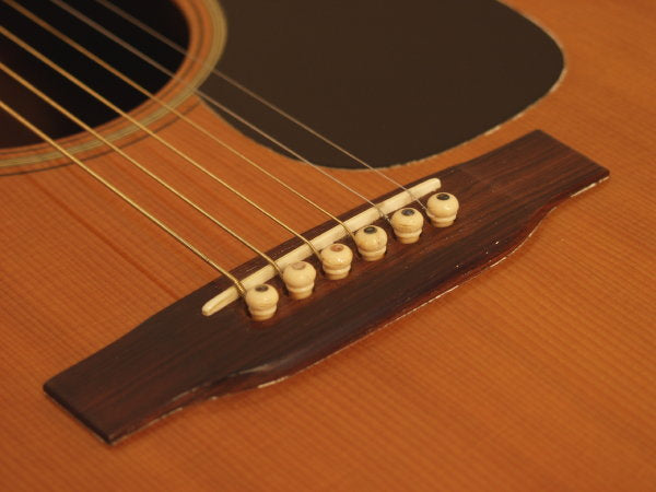 C. F. Martin D-21 Flat Top Acoustic Guitar (1969)