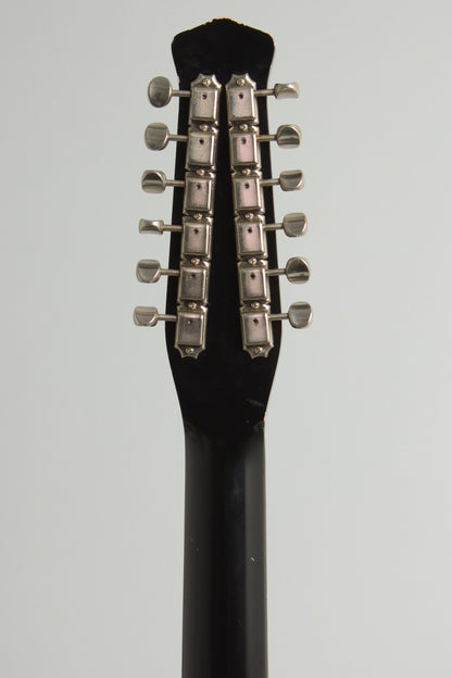 Jerry Jones Neptune 12 String Semi-Hollow Body Electric Guitar (1998)