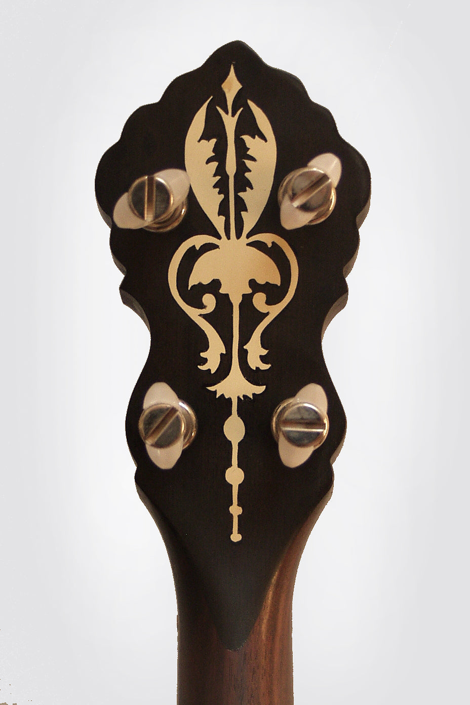 Ashborn Style Hybrid 5 String Banjo (1980's)