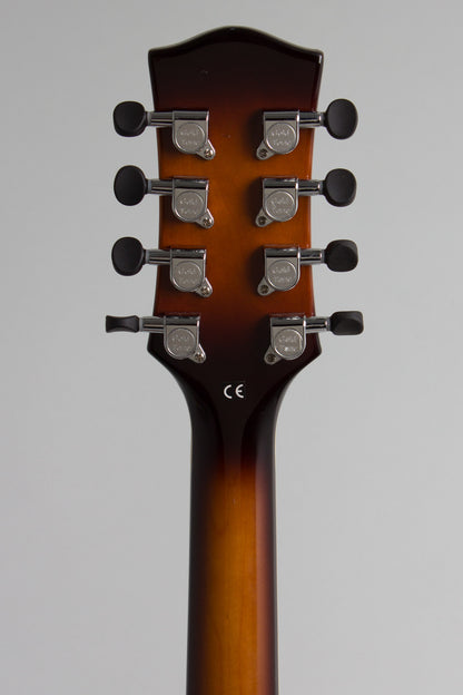 Gold Tone Arch top Mandocello (2022)