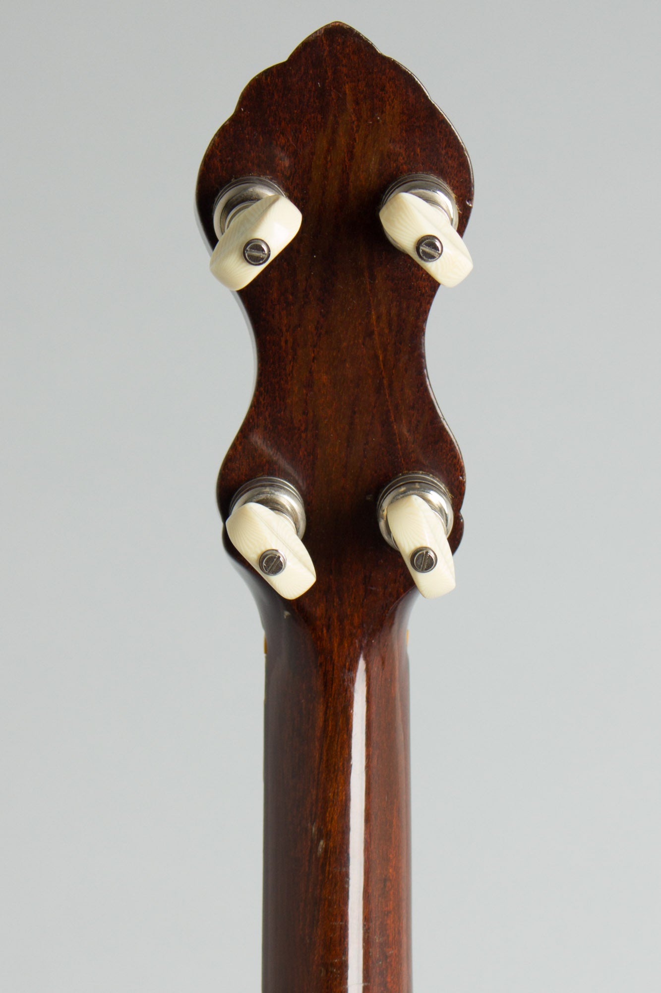 W. A. Cole Eclipse #3000 5 String Banjo (1896)