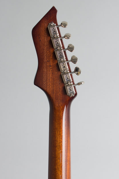Echopark Arroyo Solid Body Electric Guitar (2022)