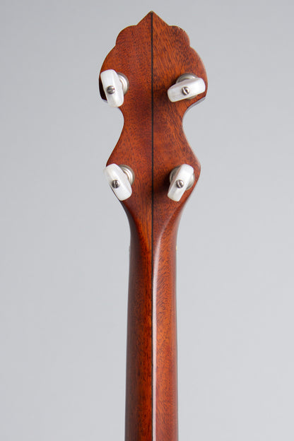 Mike Ramsey 5 String Banjo (1990)