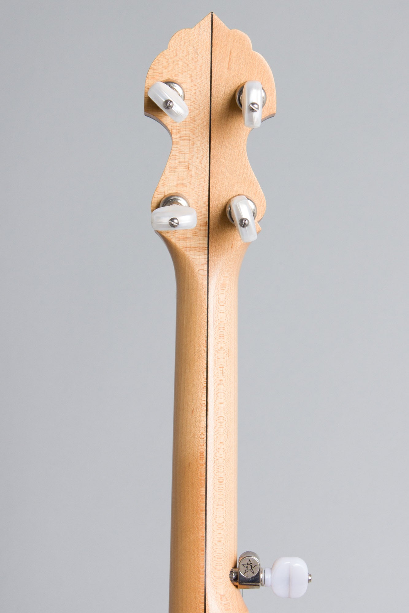 Bart Reiter Special 5 String Banjo (2017)