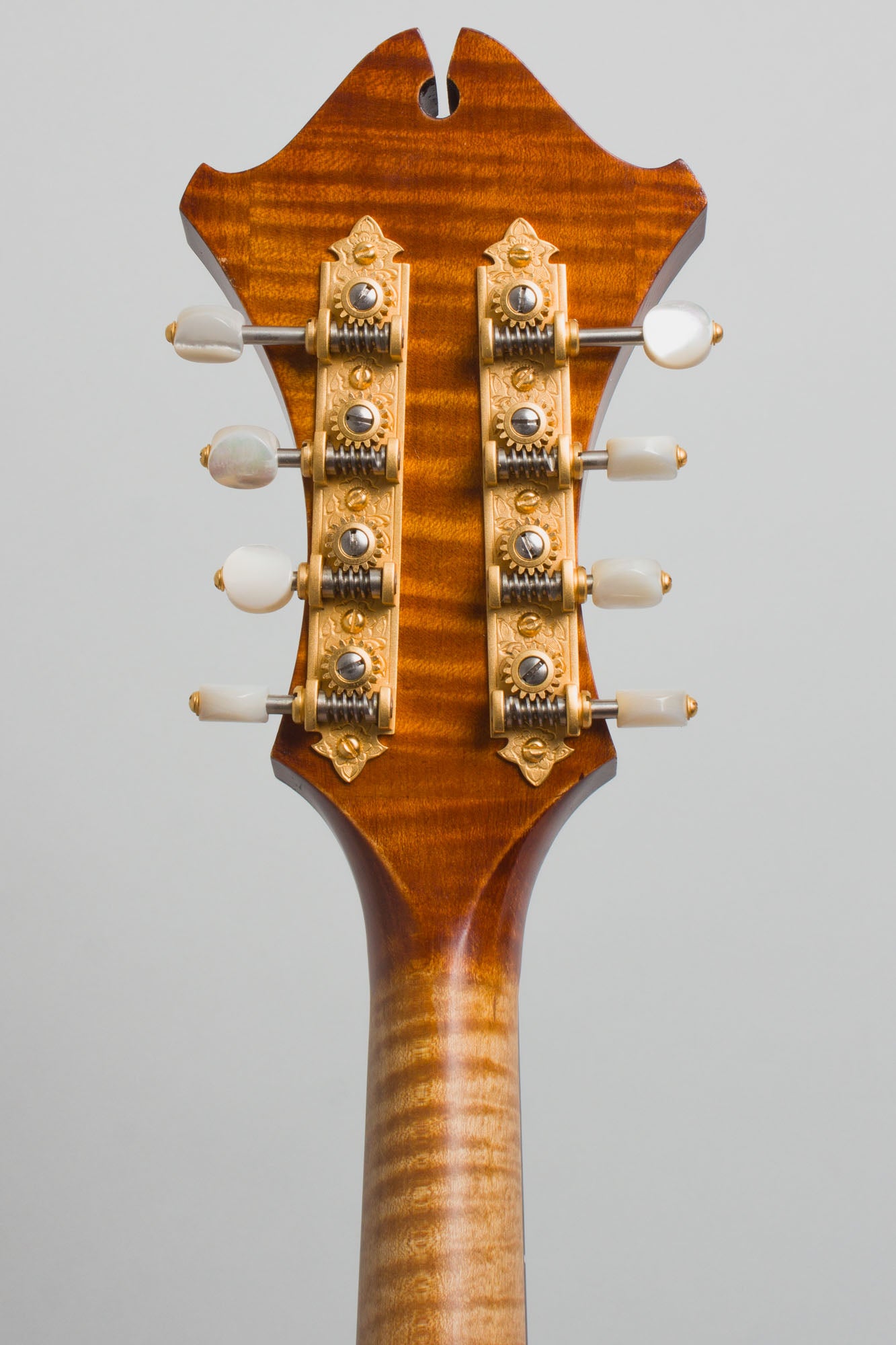 Joseph Campanella Cleary Campanella Carved Top Mandolin (2012)