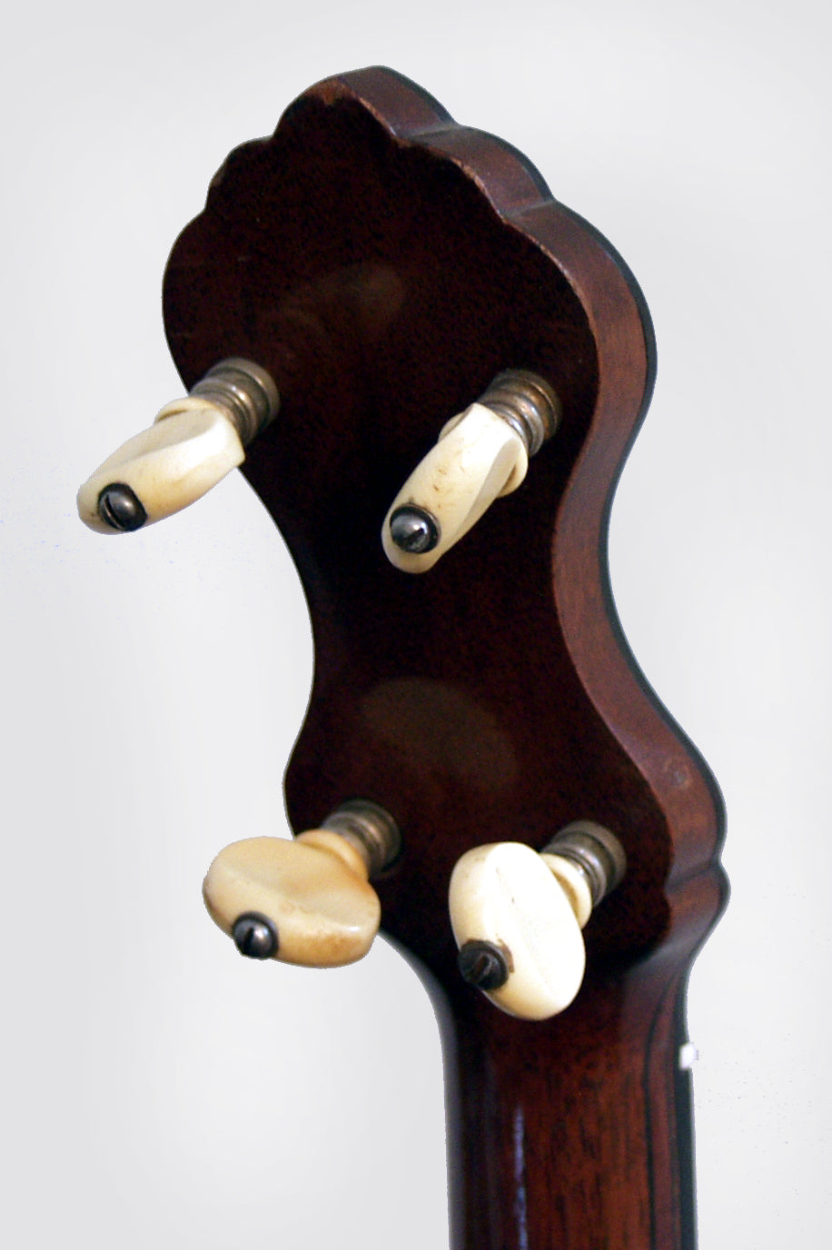 W. A. Cole Eclipse 5 String Banjo (1895)