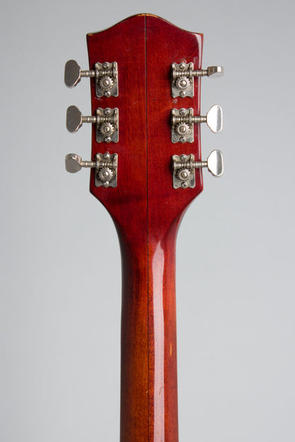 Gretsch Model 6119 Chet Atkins Tennessean Thinline Hollow Body Electric Guitar (1964)