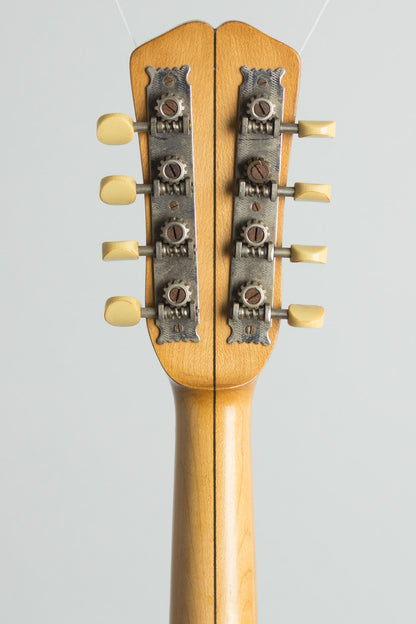 Vega Fairbanks Little Wonder Mandolin Banjo (1911)