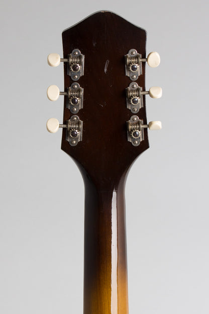 Harmony Silvertone H-61 Arch Top Hollow Body Electric Guitar (1958)