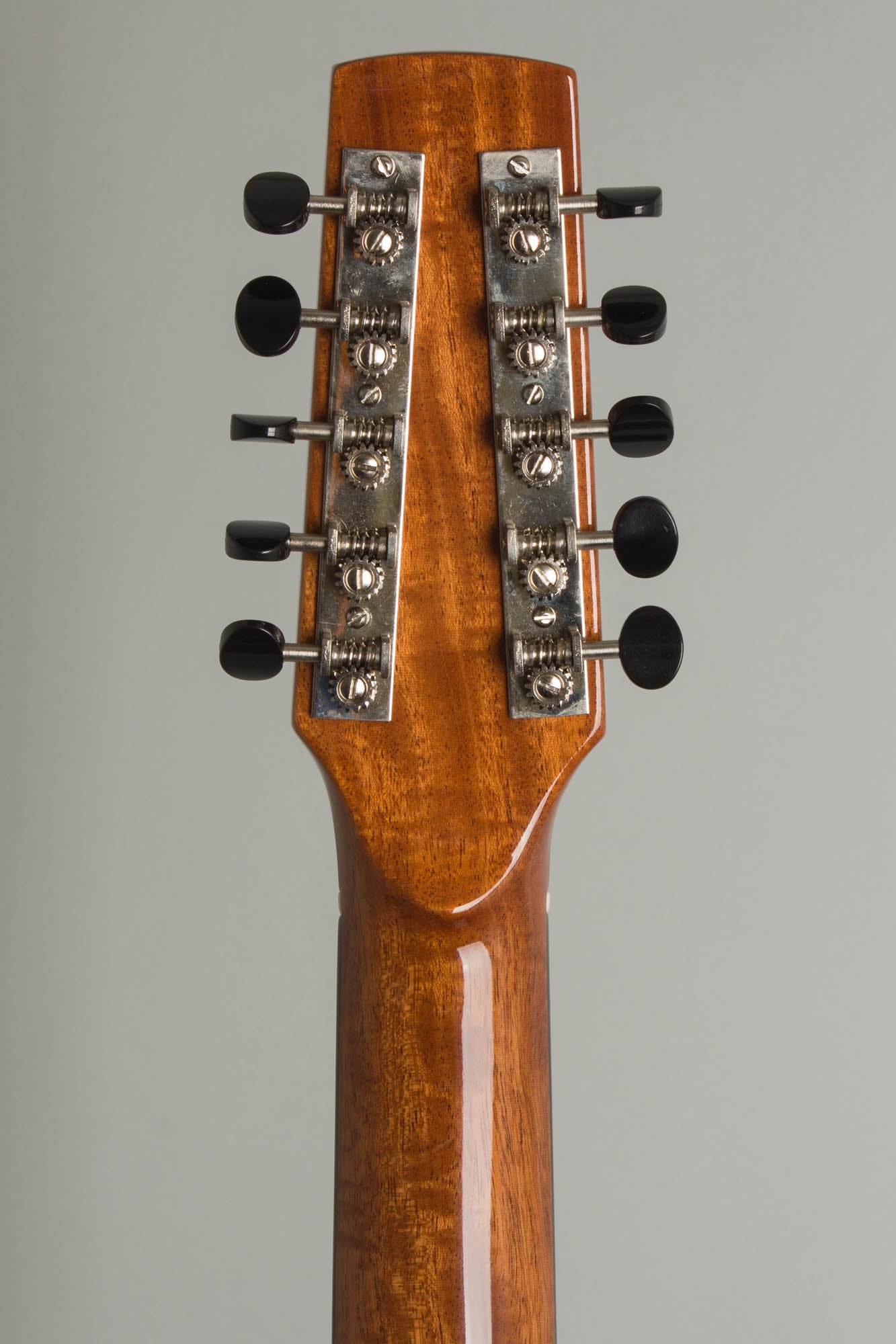 Circle Strings A-1 10 String Acoustic Flat Top Guitar (2018)