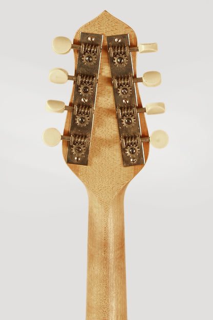 Gibson Model MB-1 Mandolin Banjo (1925)