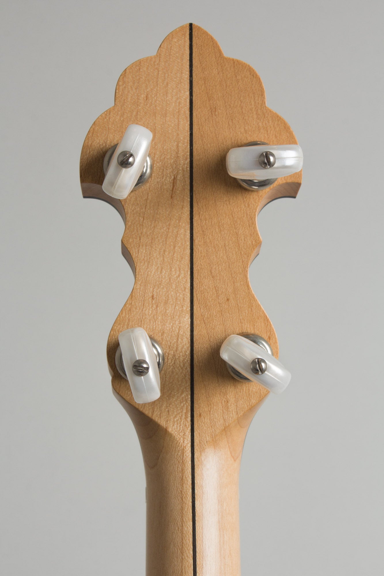 Goose Acres T-11M 5 String Banjo (2006)