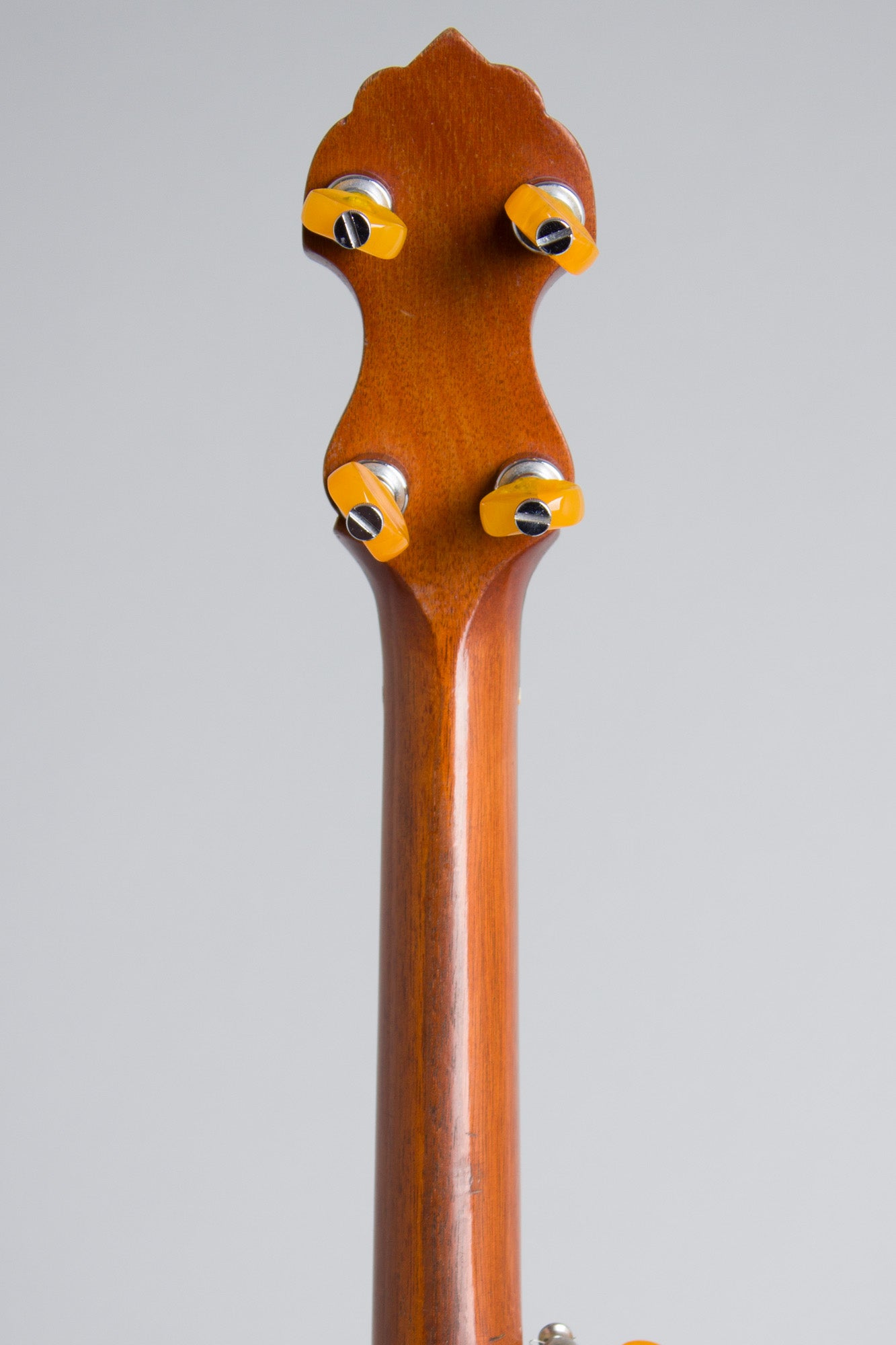 Vega Imperial Electric 5 String Banjo (1923)