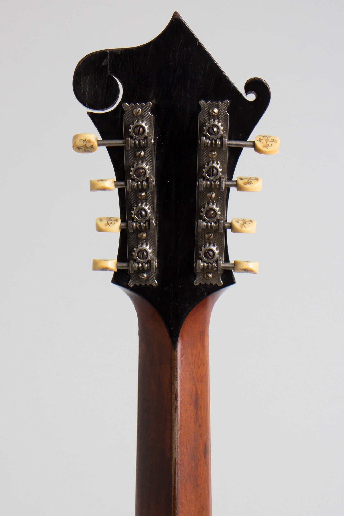 Gibson K-4 Carved Top Mandocello (1916)