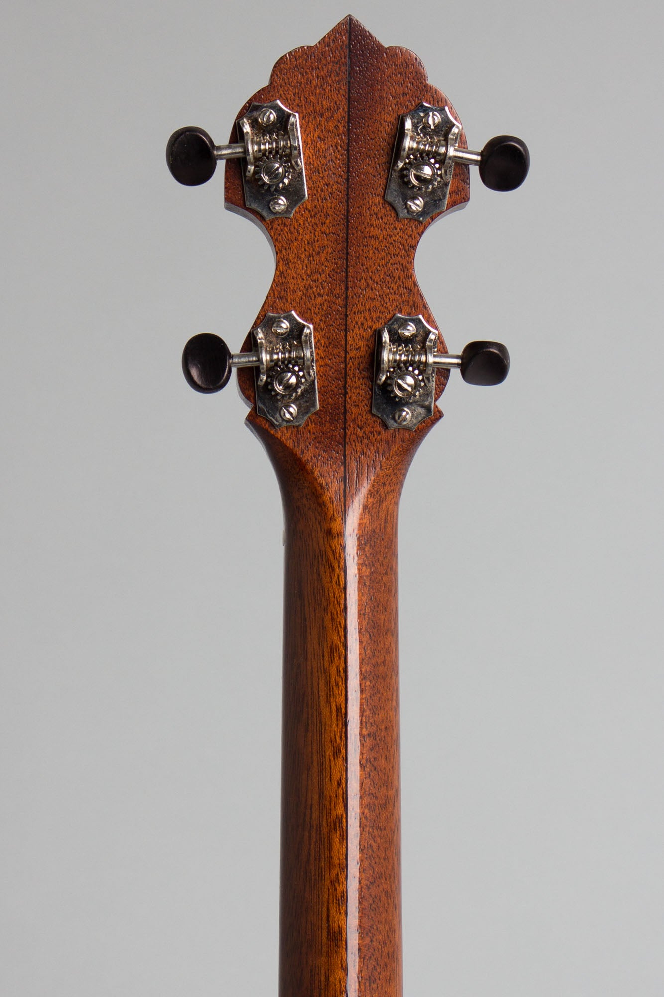 Bart Reiter Dobaphone Custom 5 String Banjo (2014)