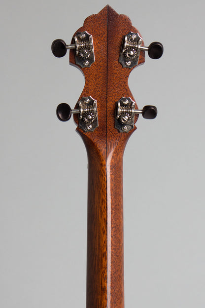 Bart Reiter Dobaphone Custom 5 String Banjo (2014)