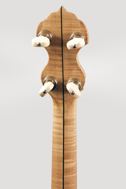 Fairbanks/Vega Whyte Laydie Style R Conversion 5 String Banjo (1923)
