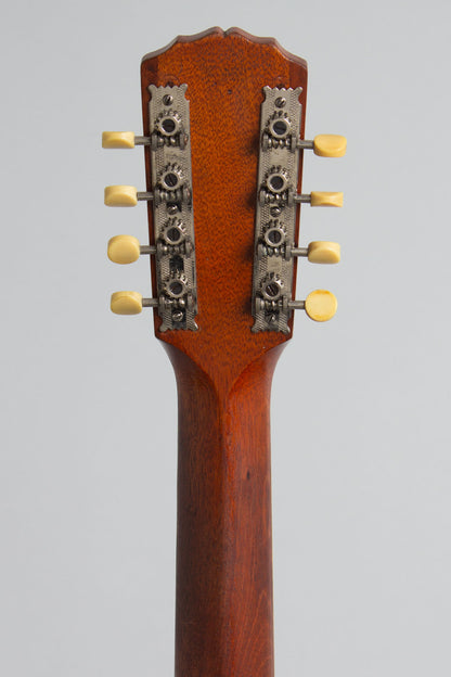 Gibson K-1 Carved Top Mandocello (1919)