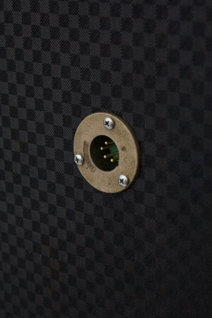 Ampeg EXB-15 Extension Speaker (1966)