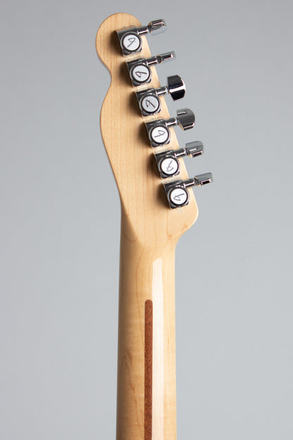 Fender TL 69-75 Paisley Telecaster Solid Body Electric Guitar (2016)