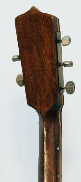 unknown 5 String Zither Banjo (early 1900's)