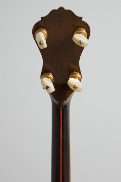 Epiphone Recording Deluxe Art Model Tenor Banjo (1926)
