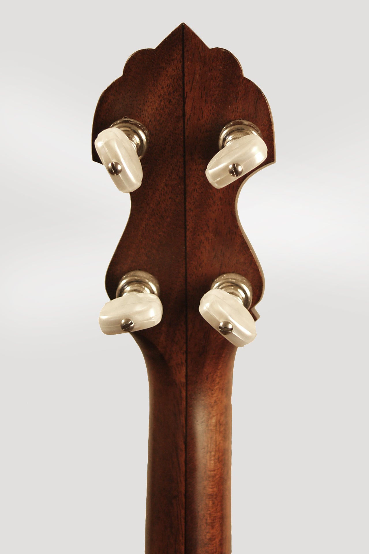 Bart Reiter Standard 5 String Banjo (2012)