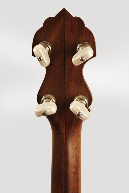 Bart Reiter Standard 5 String Banjo (2012)