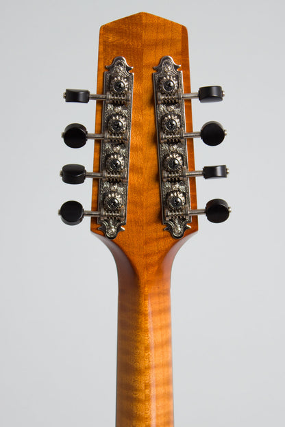 Northfield NFM-M4 Carved Top Mandola (2023)