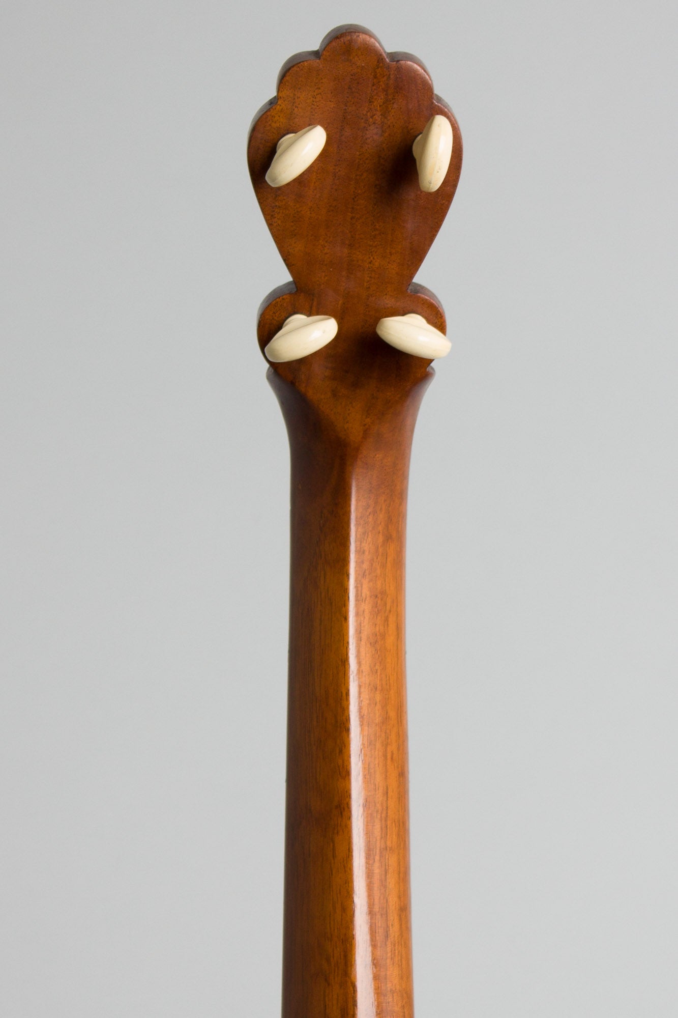 August Pollmann Royal Professional 50-bracket 5 String Banjo (1890)