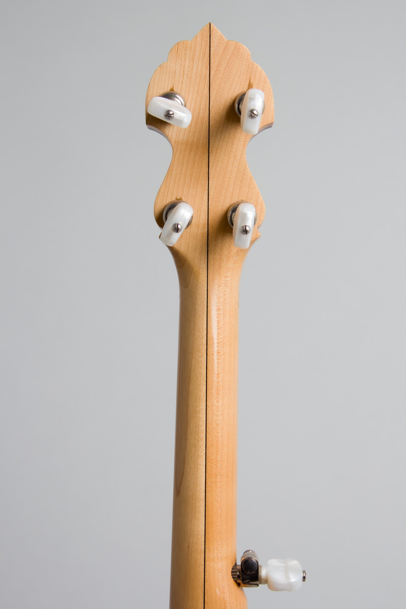 Bart Reiter Special 5 String Banjo (2003)
