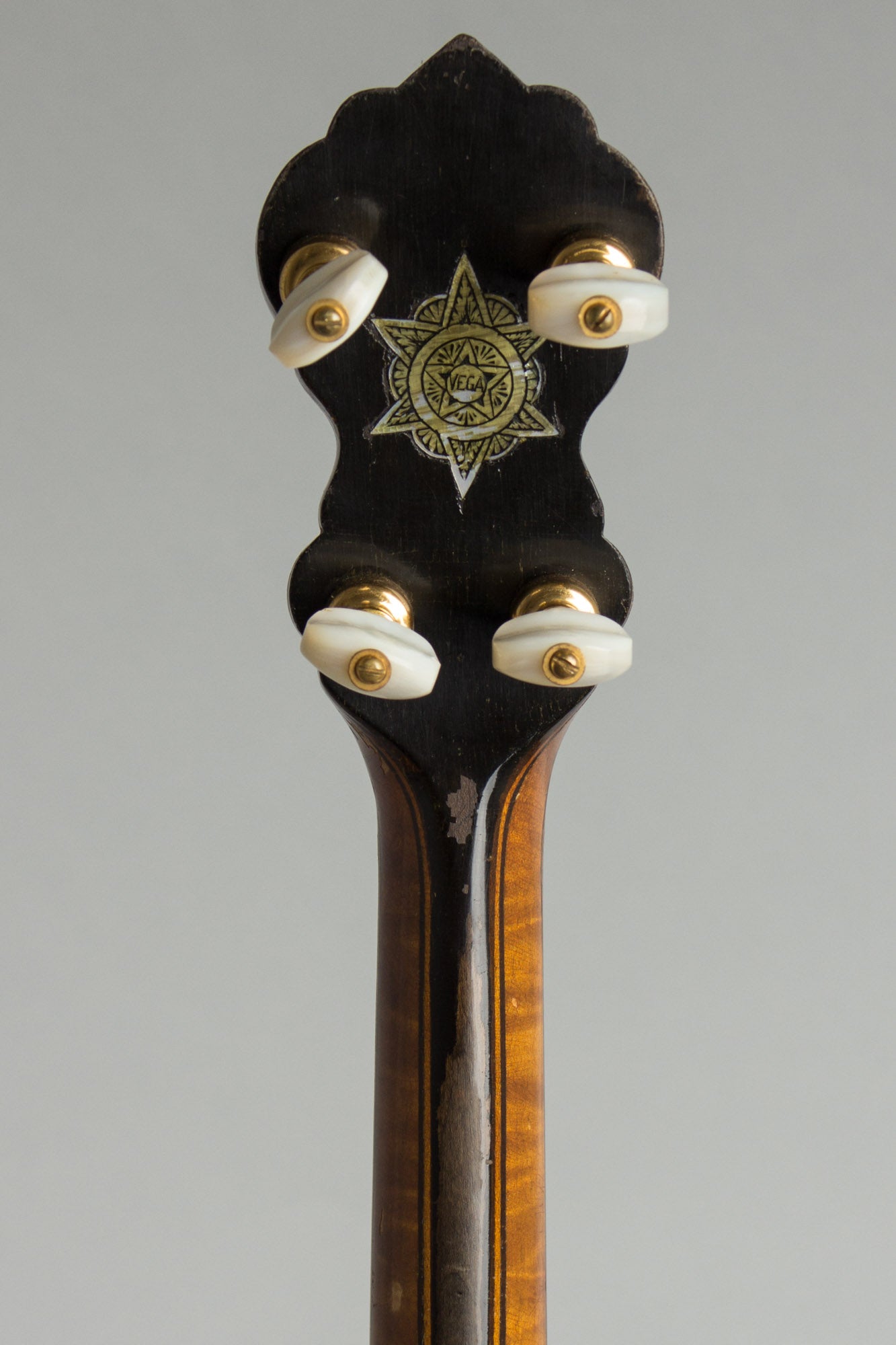 Vega Vegaphone DeLuxe Tenor Banjo (1926)