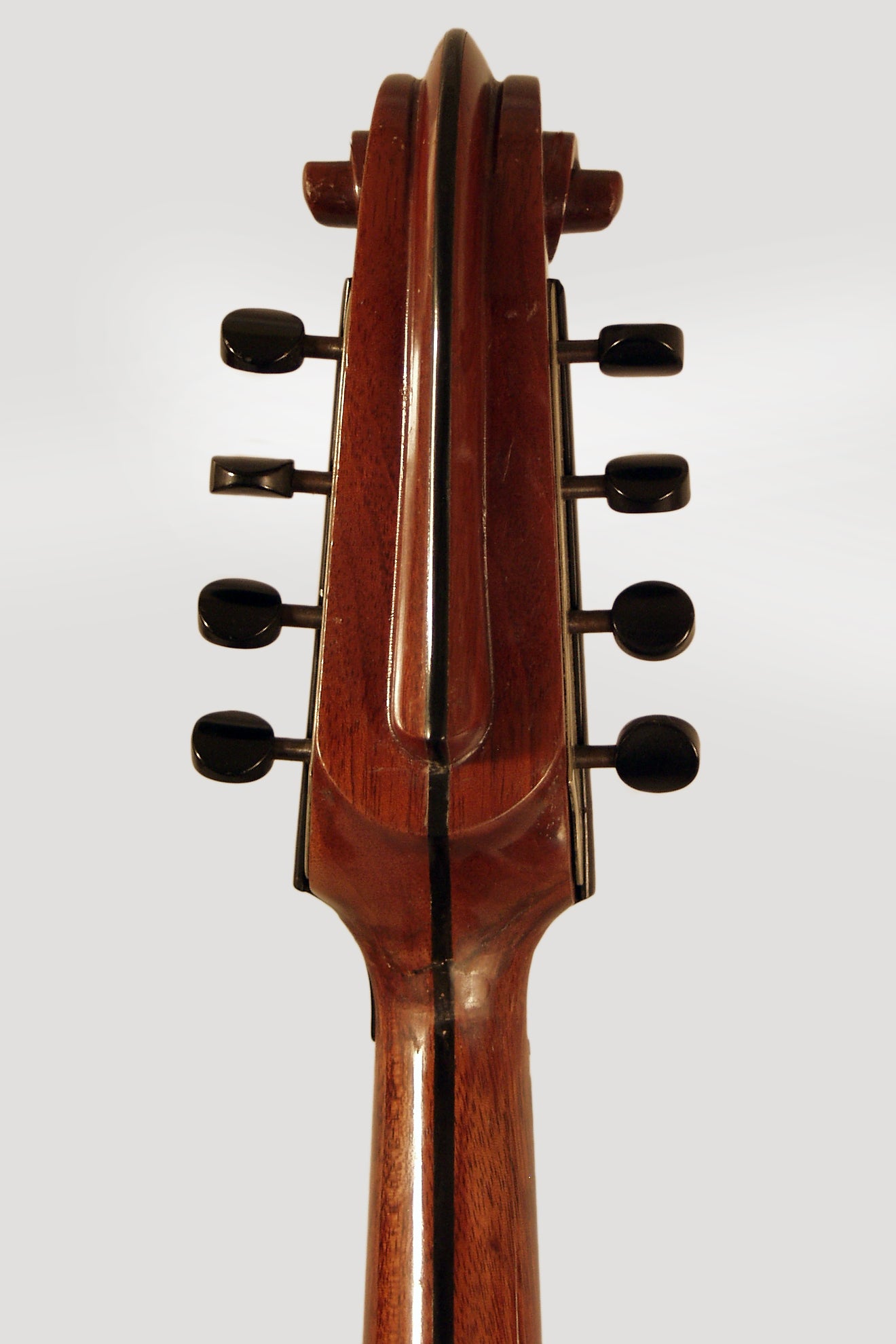 Lyon & Healy Style A Professional Carved Top Mandolin (1921)
