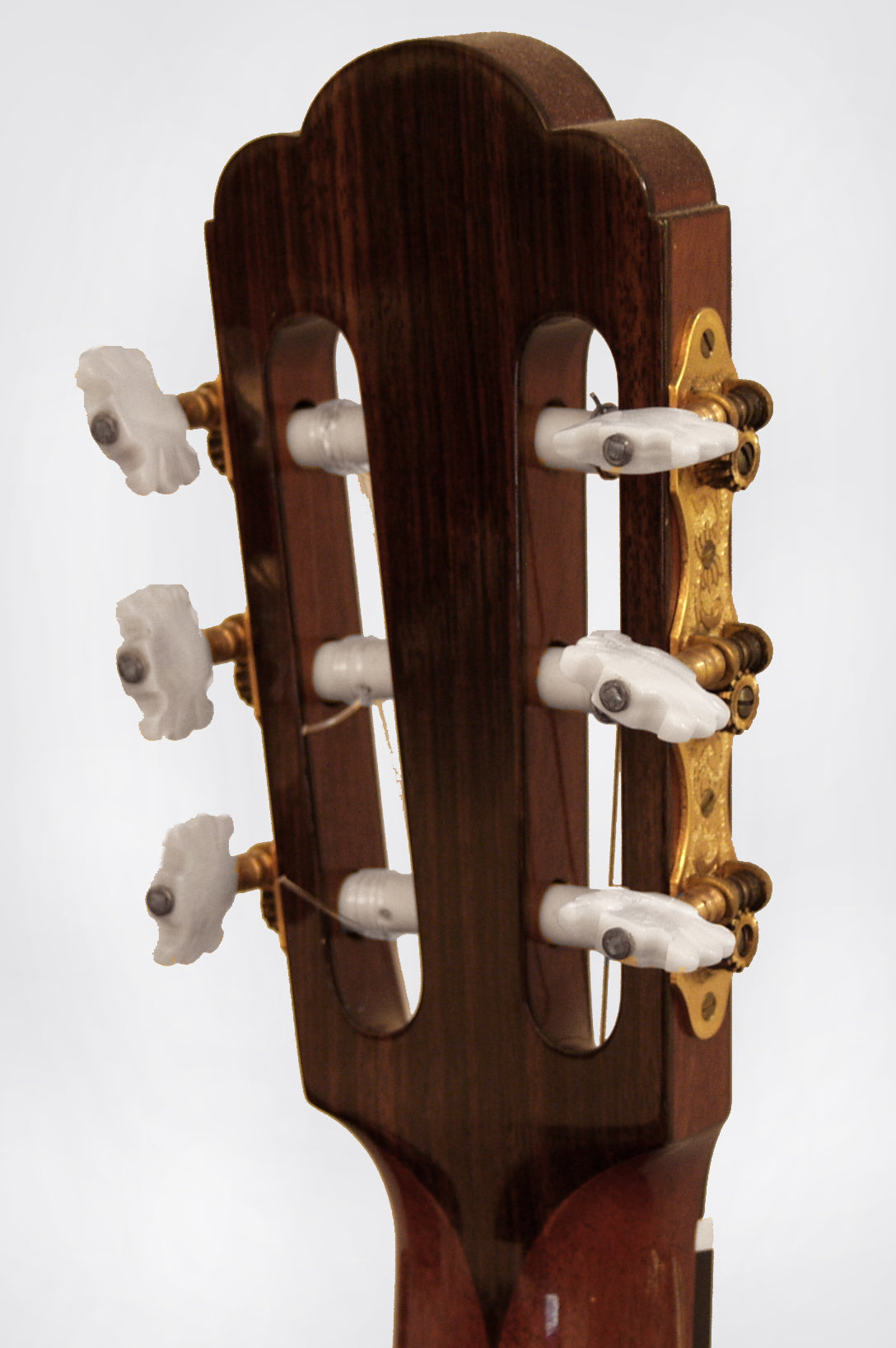 Augustine Haselbacher Classical Guitar (1978)