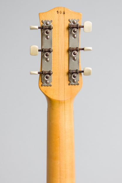 Hofner Club 40 Arch Top Hollow Body Electric Guitar (1957)