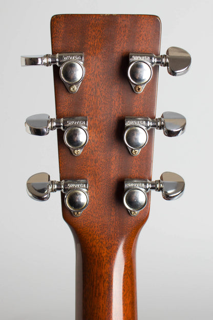 C. F. Martin D-18 Flat Top Acoustic Guitar (1975)