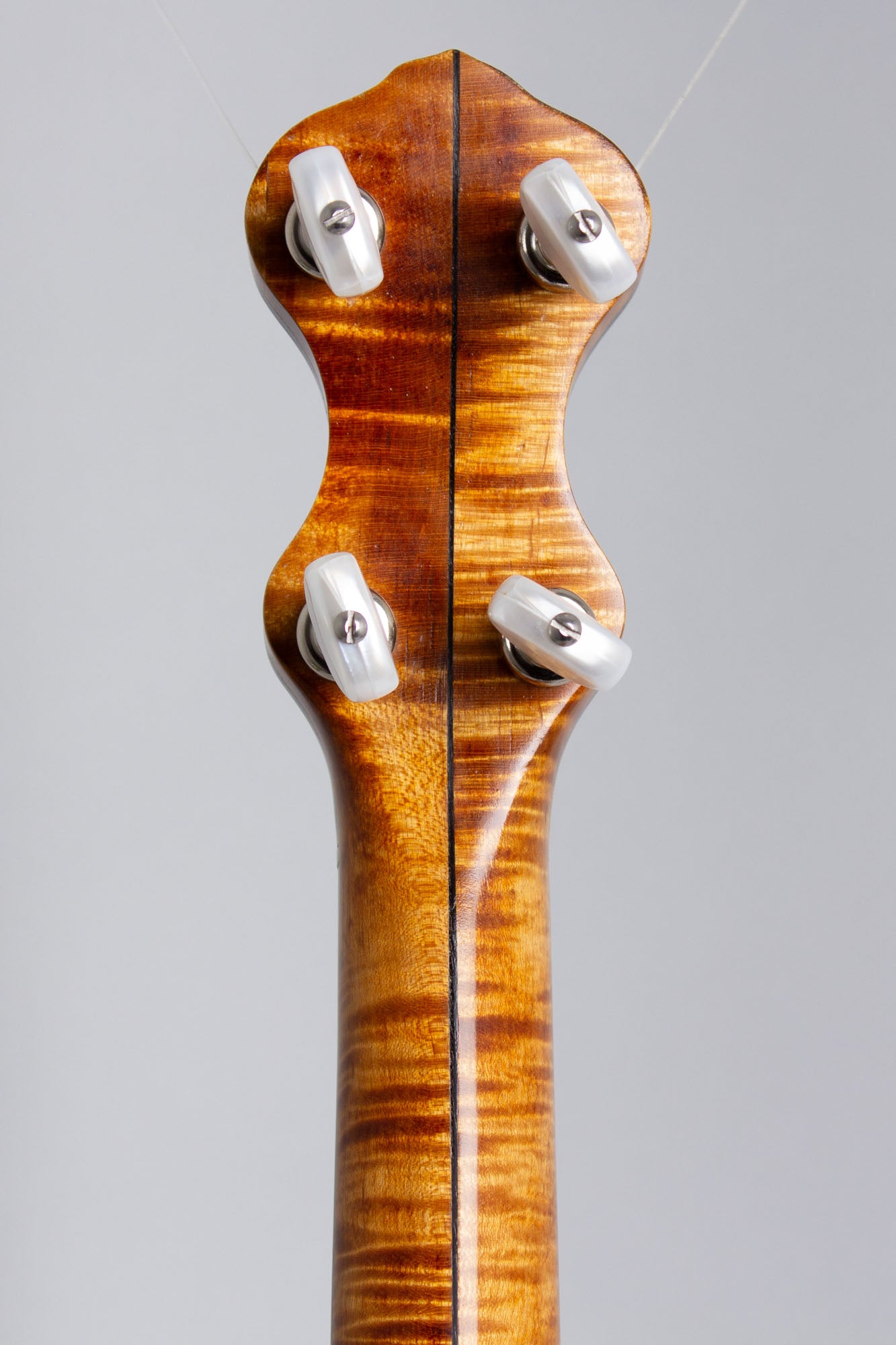Mike Ramsey Special 5 String Banjo (2013)