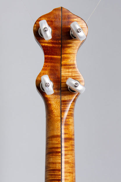 Mike Ramsey Special 5 String Banjo (2013)