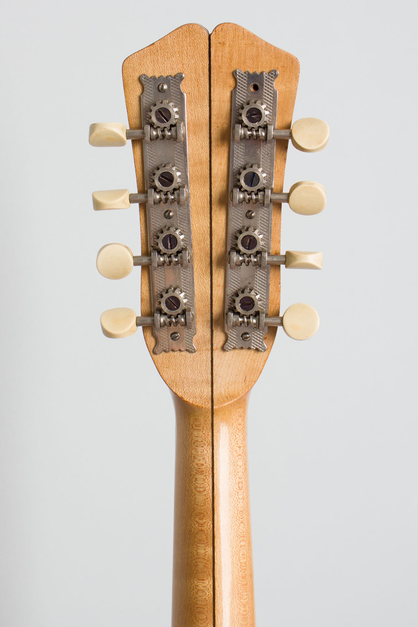 Vega Fairbanks Little Wonder Mandolin Banjo (1917)
