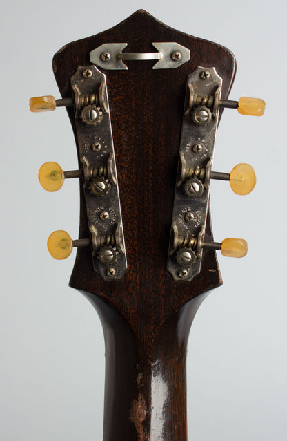 Gibson Recording King Ray Whitley Jumbo Model 1028 Flat Top Acoustic Guitar (1940)