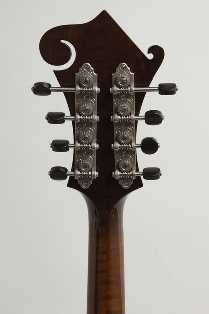 Northfield NFS-F5E Ltd Carved Top Mandolin (2026)