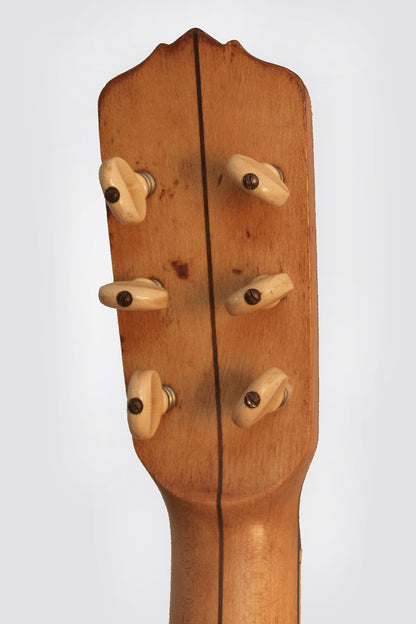 Vega Tu-Ba-Phone Guitar Banjo (1926)
