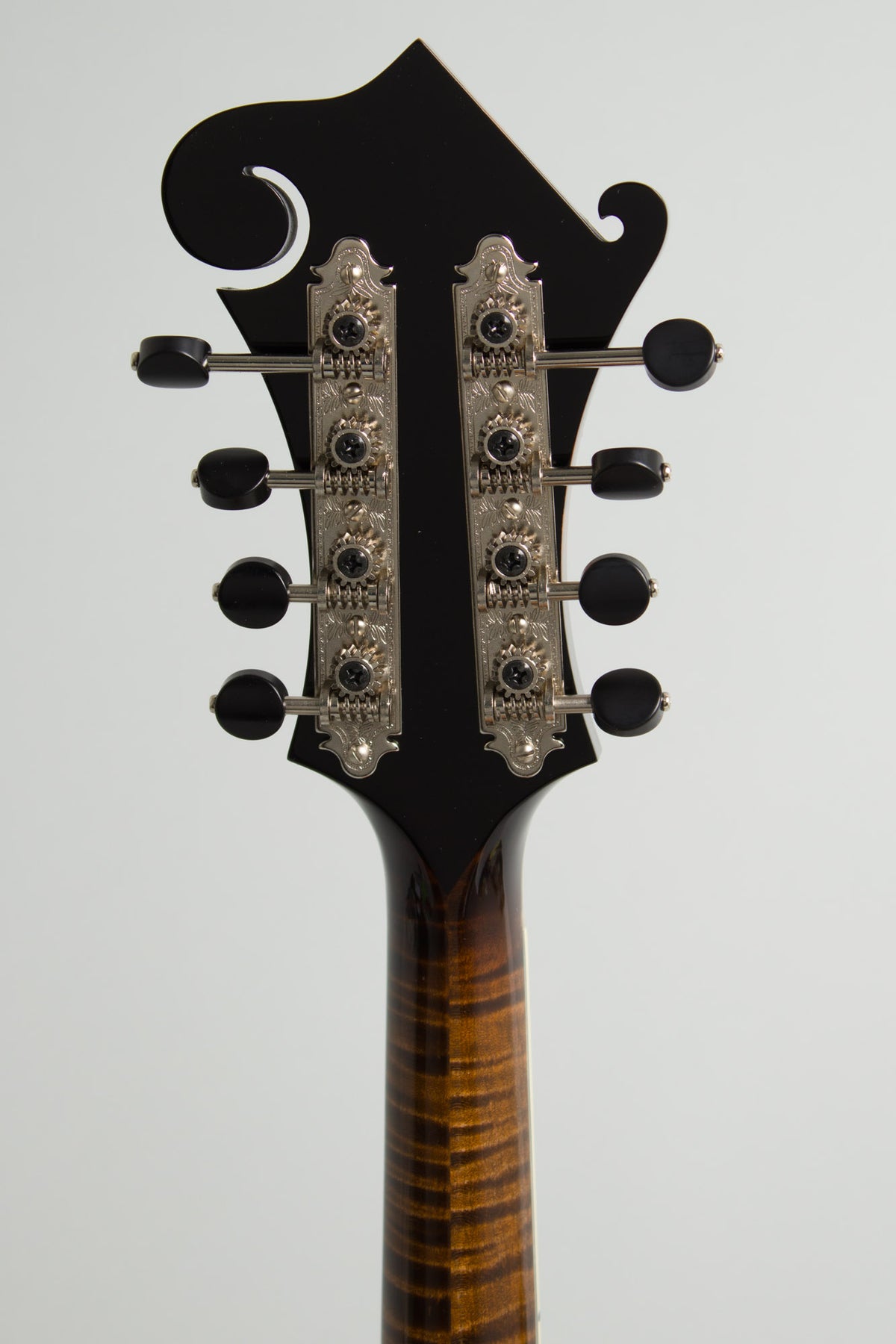 Northfield NFB-5FA Big Mon Carved Top Mandolin (2026)
